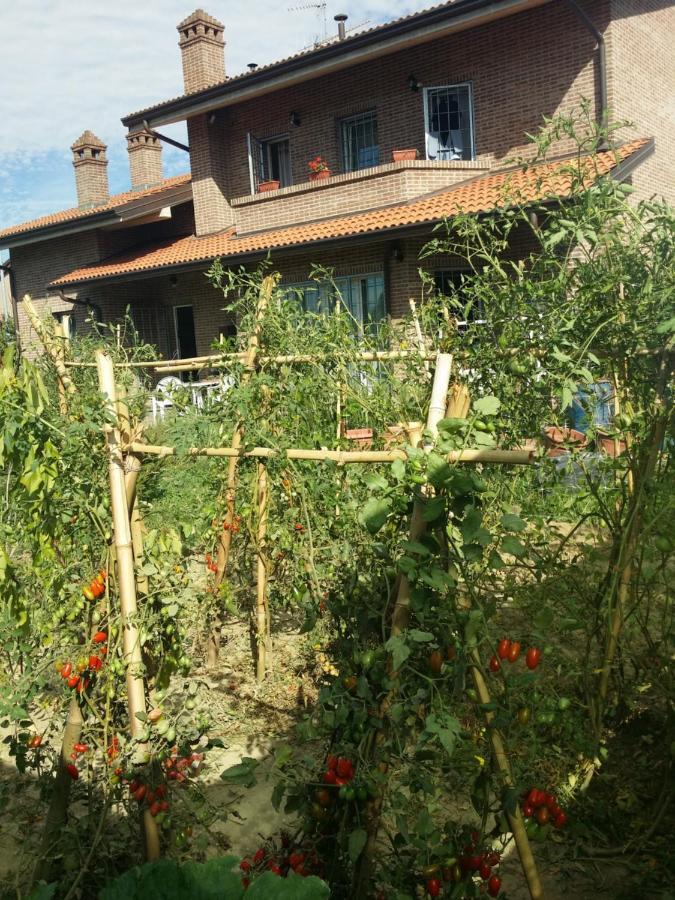 בנטיבוליו B&B Casa Dei Camini מראה חיצוני תמונה