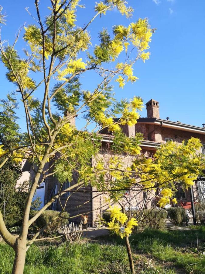 בנטיבוליו B&B Casa Dei Camini מראה חיצוני תמונה